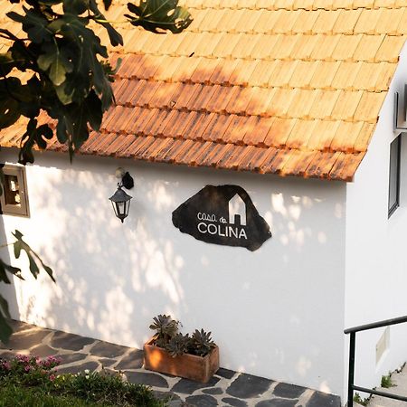 Villa Casa Da Colina Amarante Exterior foto
